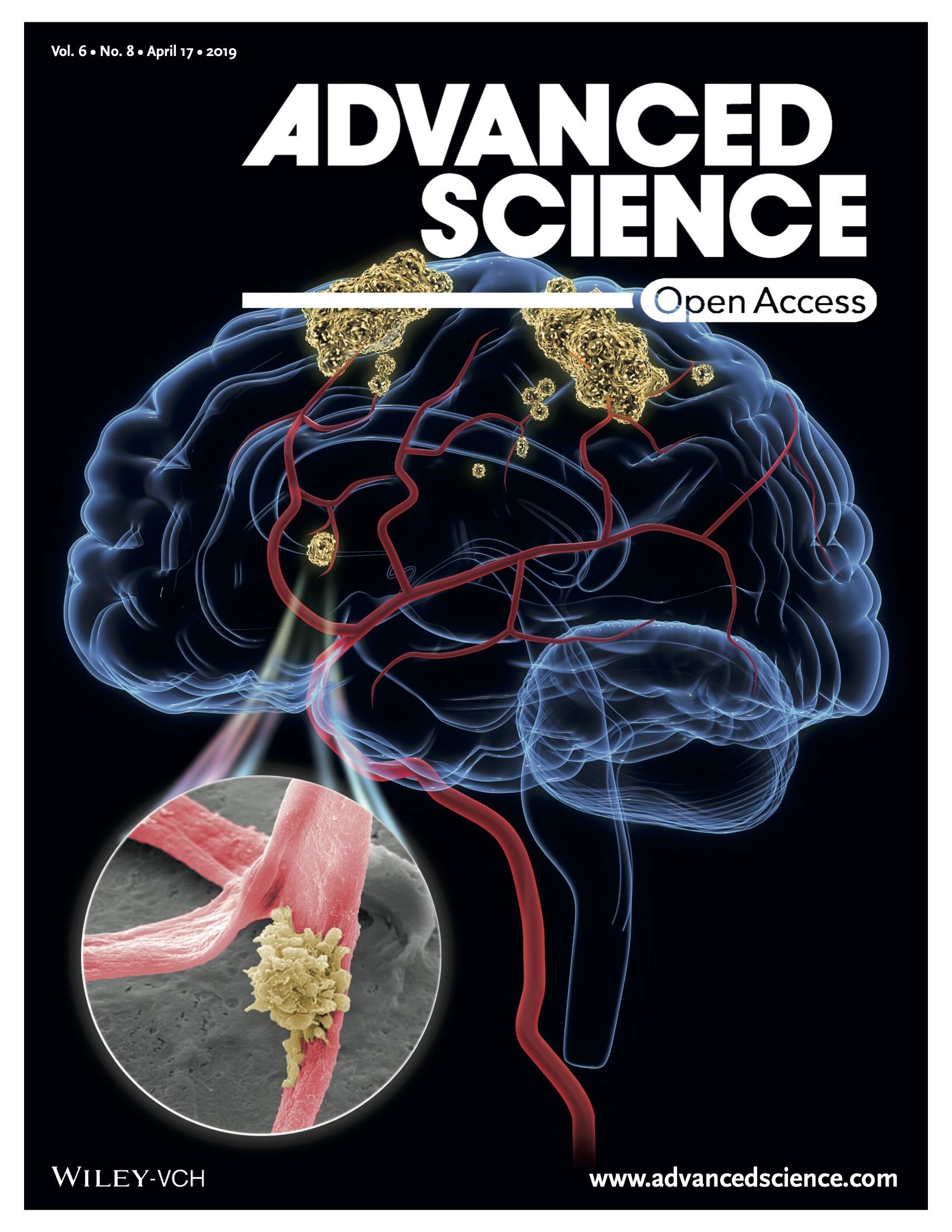 Publication_6_2019_Adv Sci.jpeg